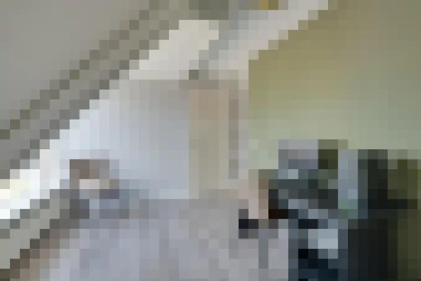 Wezenweid 20 Spierdijk thumbnail 38