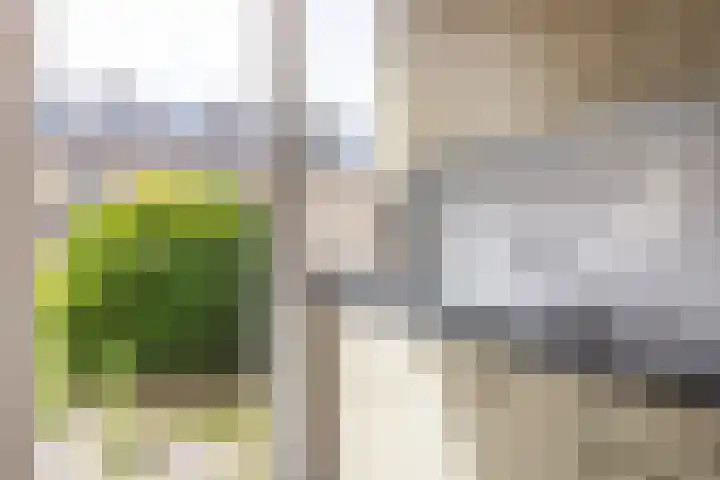 Wezerstraat 2 Heemskerk thumbnail 10