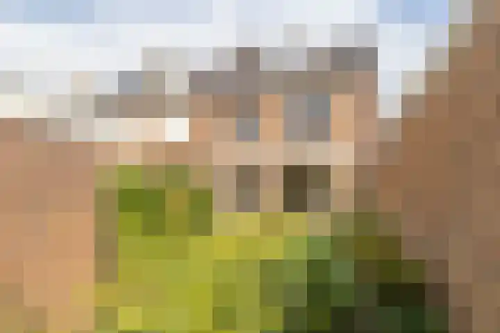 Wezerstraat 2 Heemskerk thumbnail 12