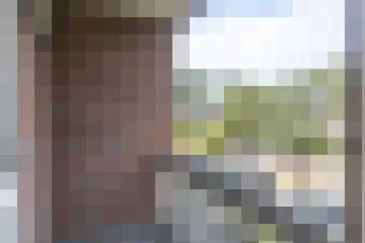 Wezerstraat 2 Heemskerk thumbnail 20