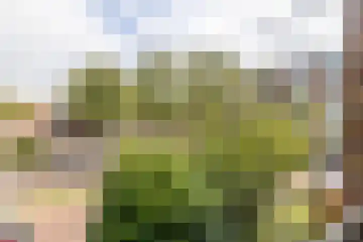 Wezerstraat 2 Heemskerk thumbnail 21
