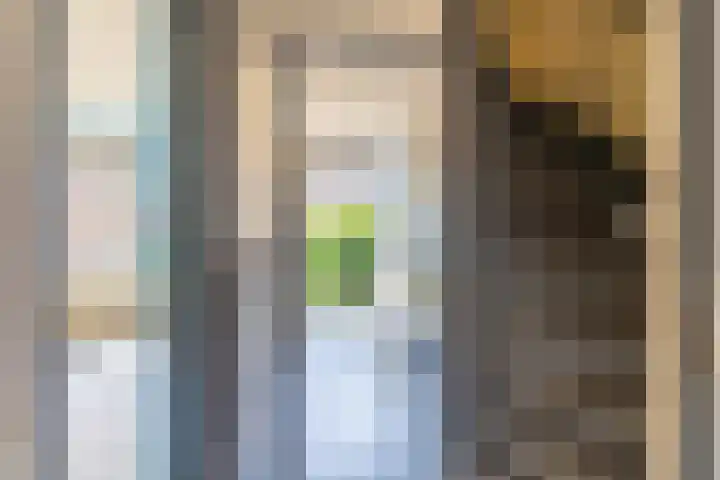 Wezerstraat 2 Heemskerk thumbnail 5