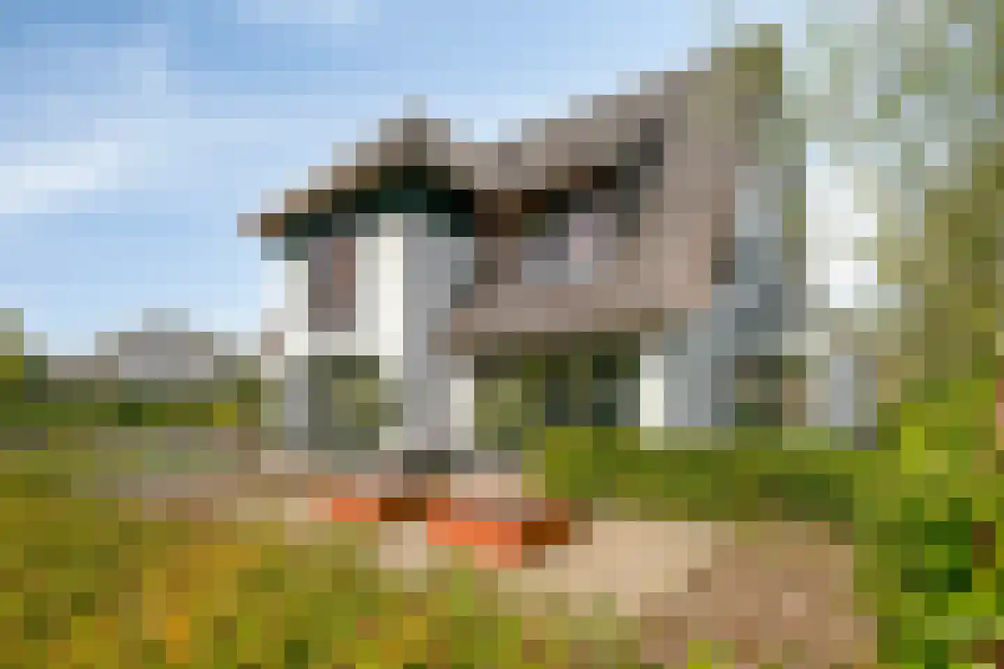 Wezeweg 14 a Heerde thumbnail 105