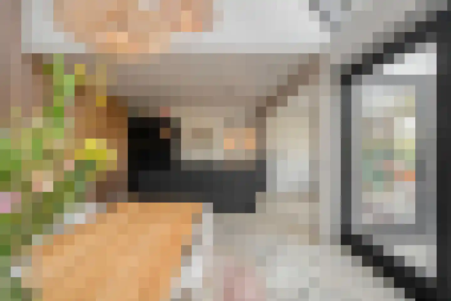 Wezeweg 14 a Heerde thumbnail 23