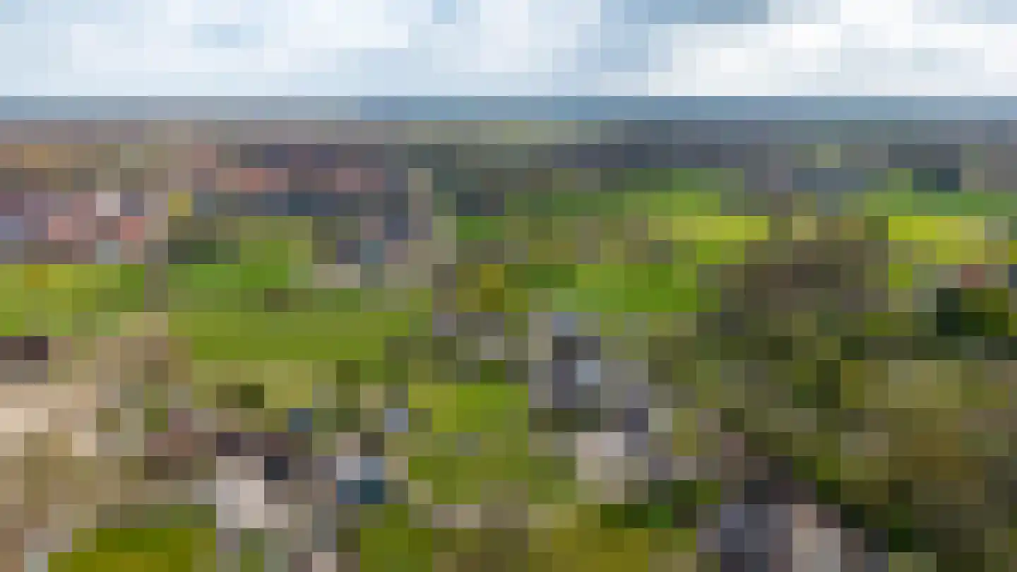 Wezeweg 14 a Heerde thumbnail 4