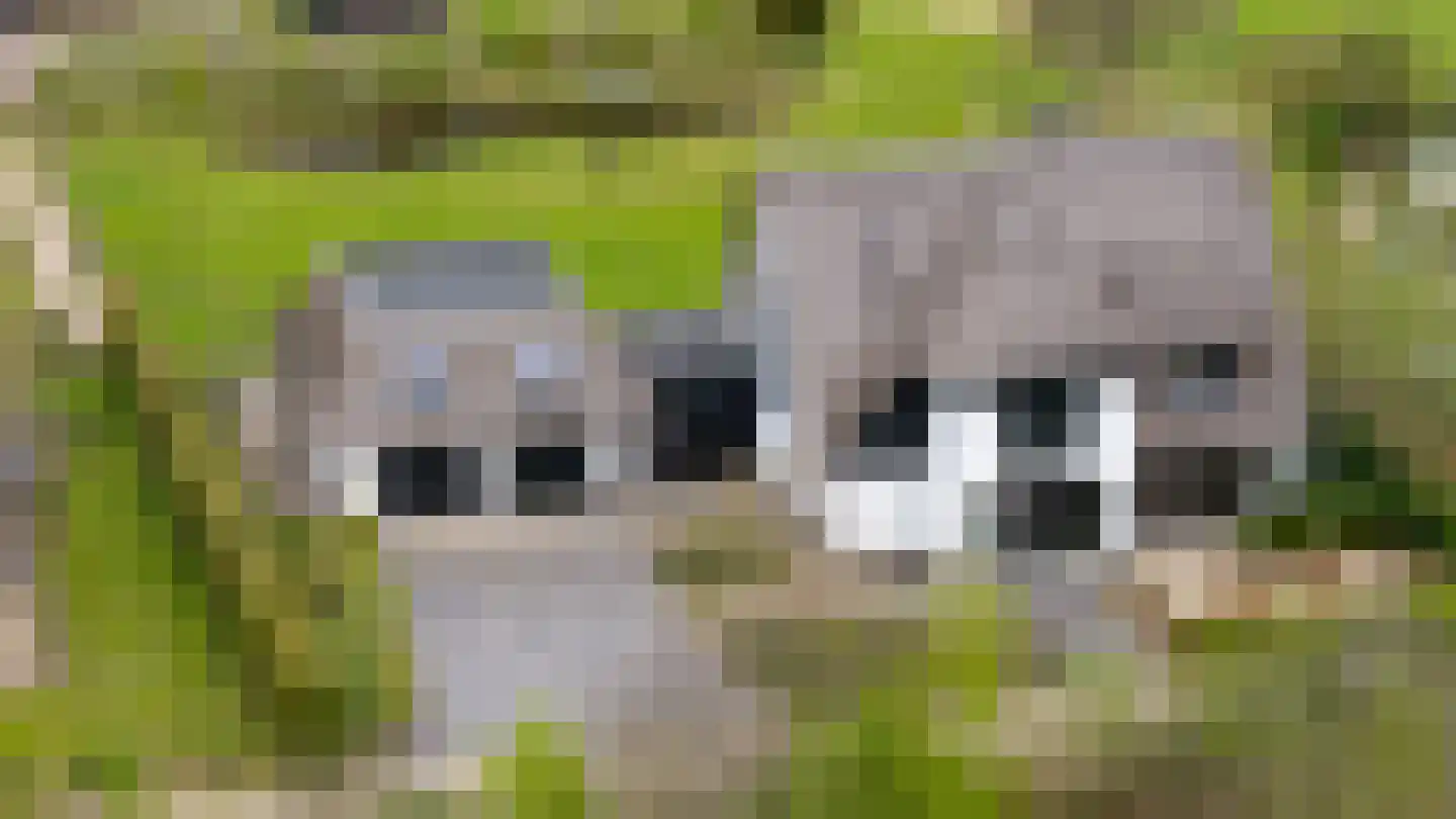 Wezeweg 14 a Heerde thumbnail 5