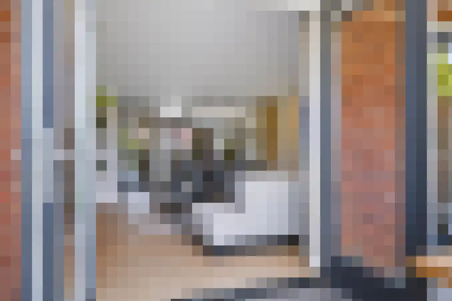 Wheemekamp 7 Hall thumbnail 14