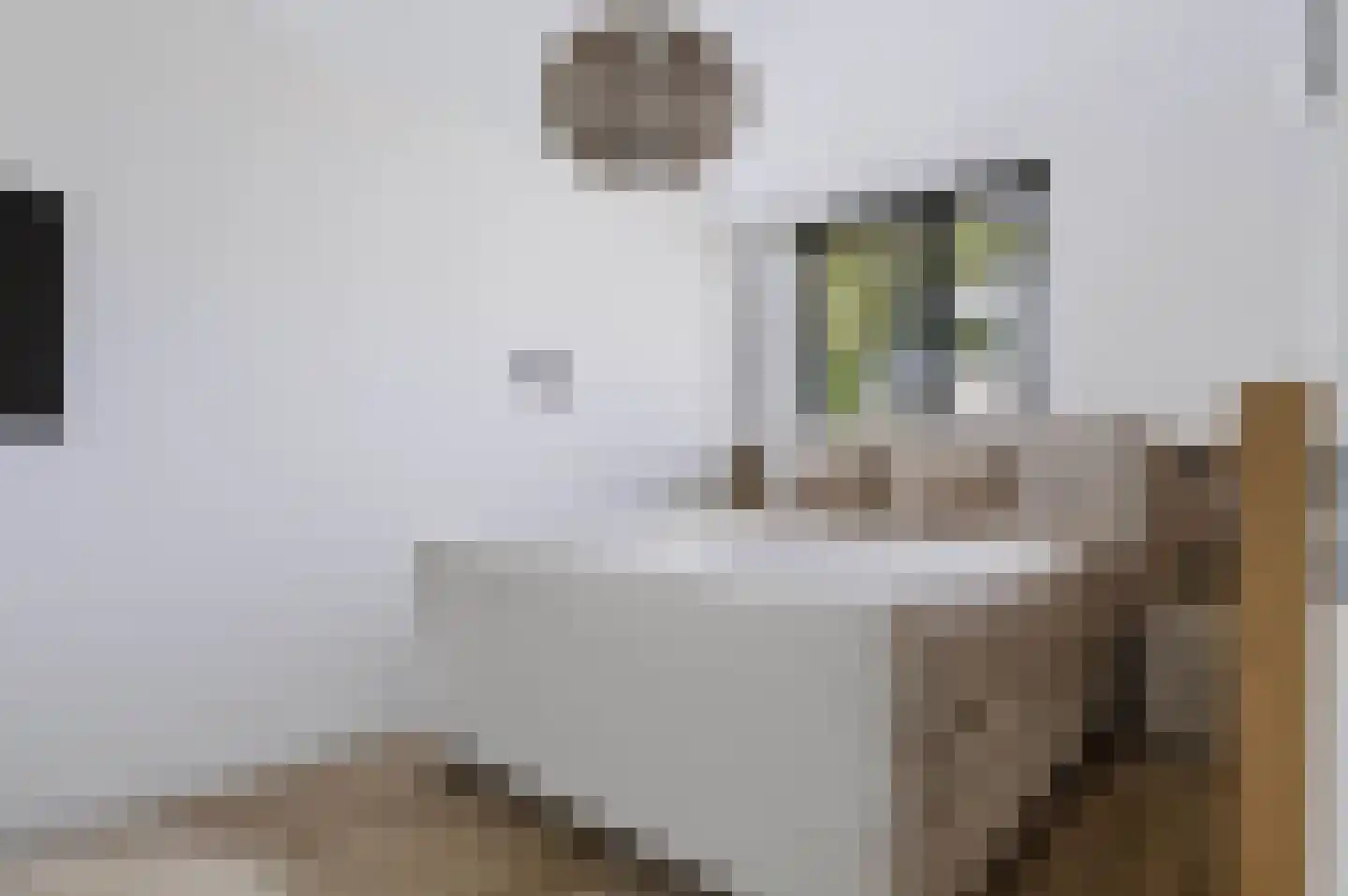 Wheemekamp 7 Hall thumbnail 26