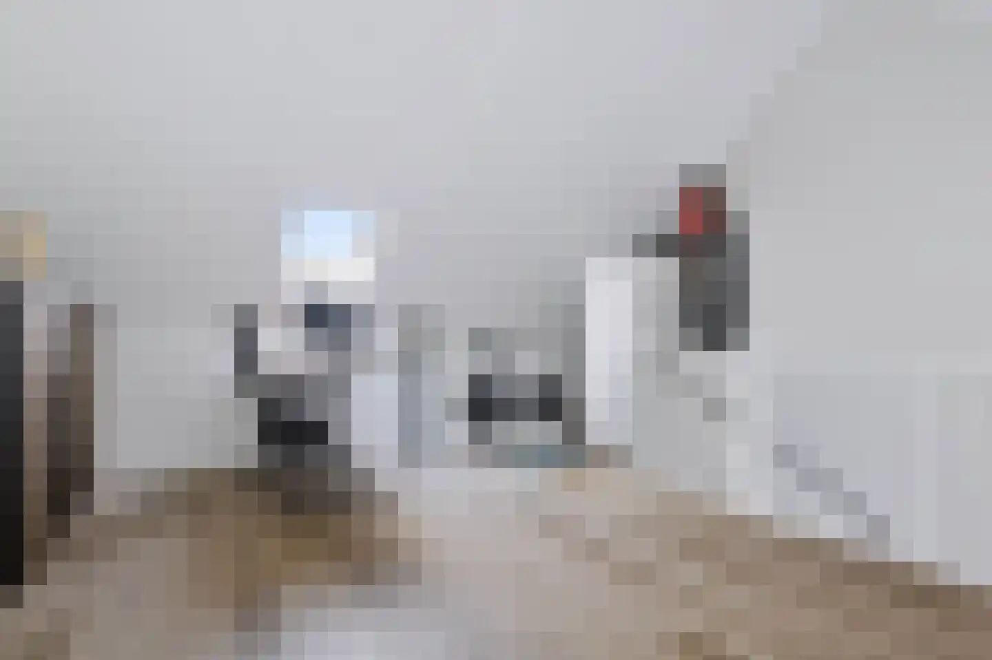 Wheemekamp 7 Hall thumbnail 33