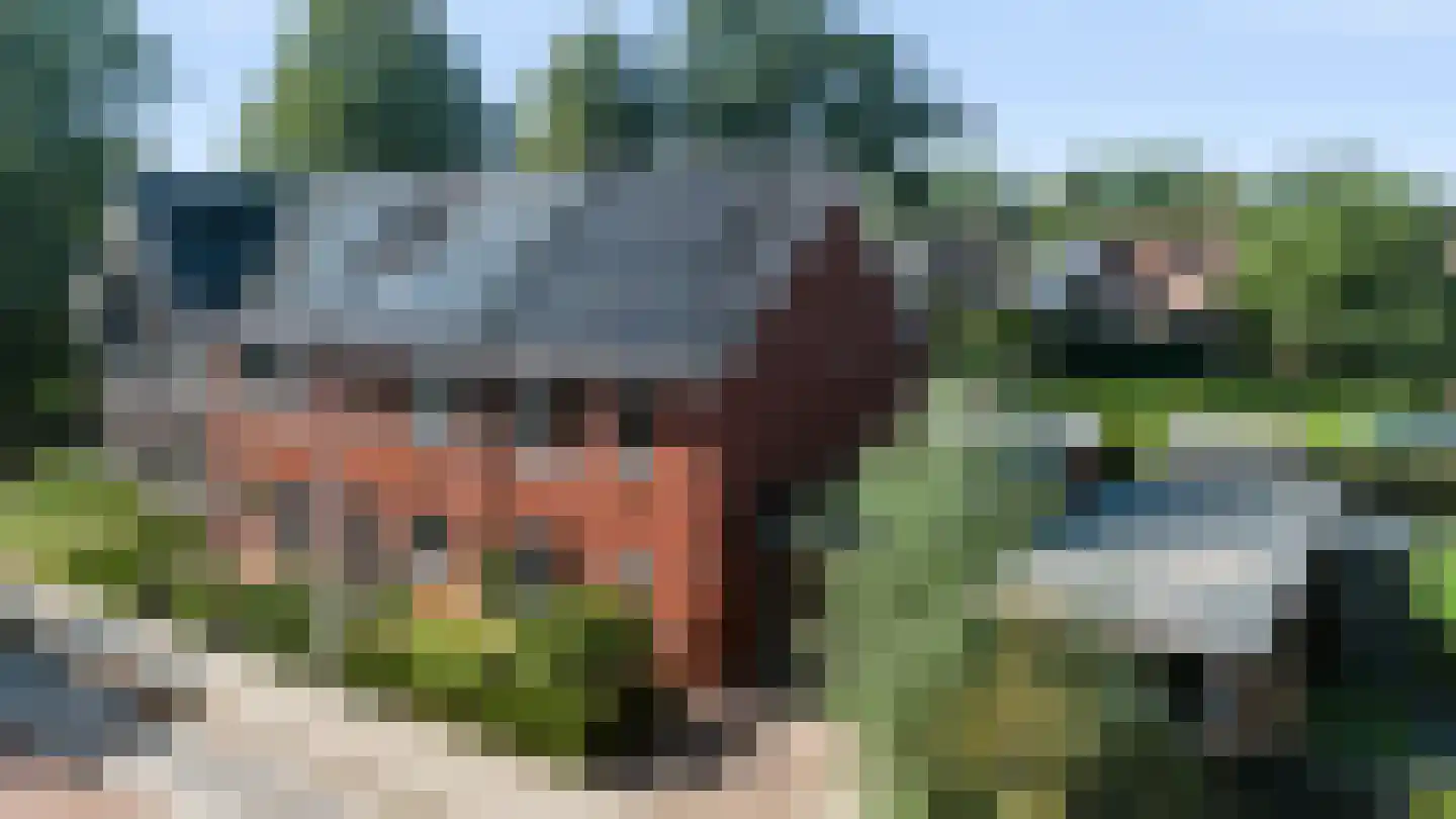Wheemekamp 7 Hall thumbnail 41