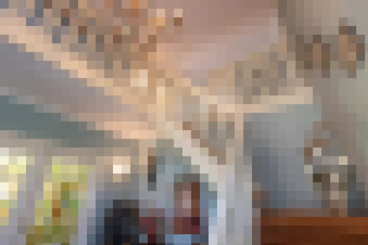 Wheemerstraat 8 Neede thumbnail 20