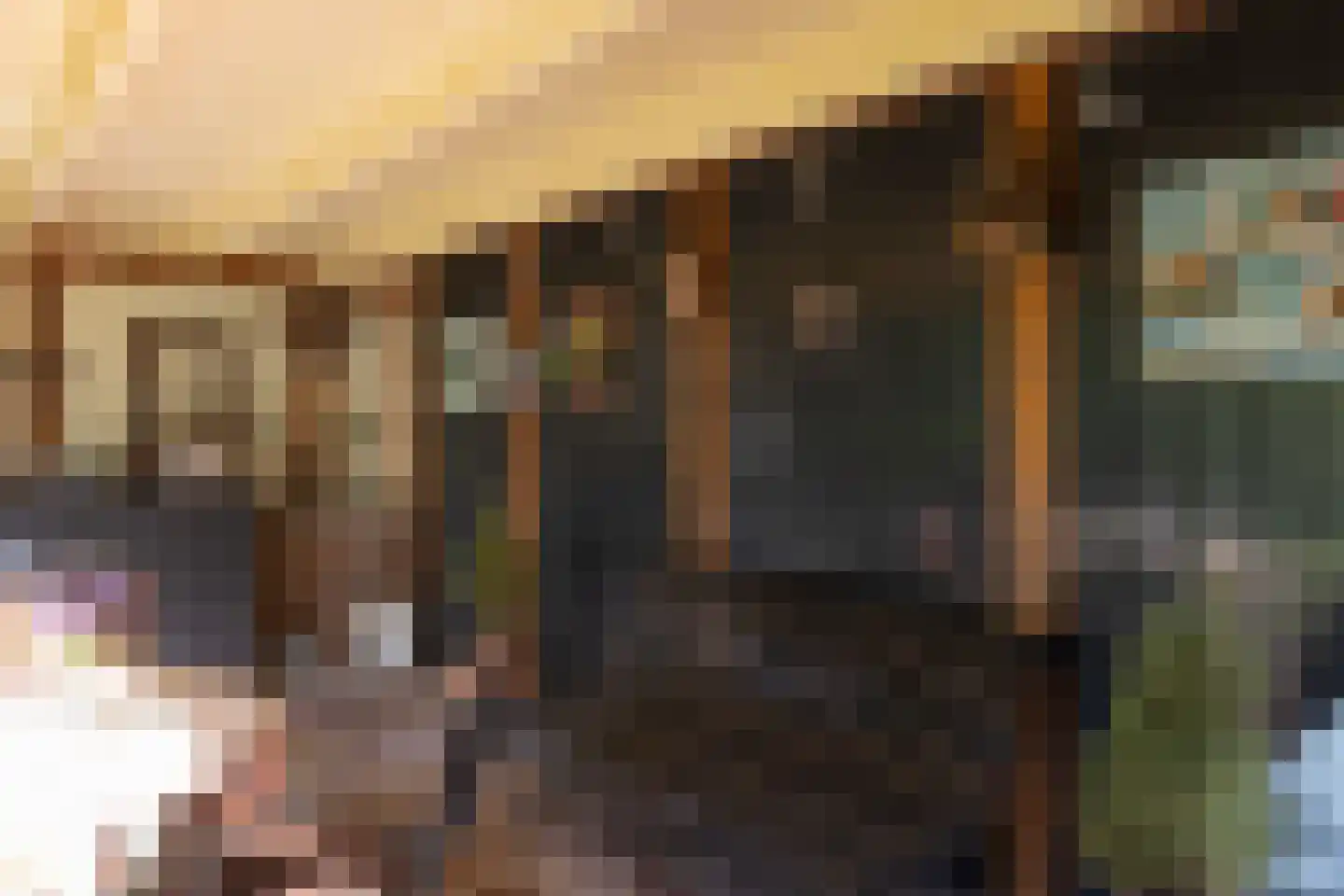 Wheemerstraat 8 Neede thumbnail 36