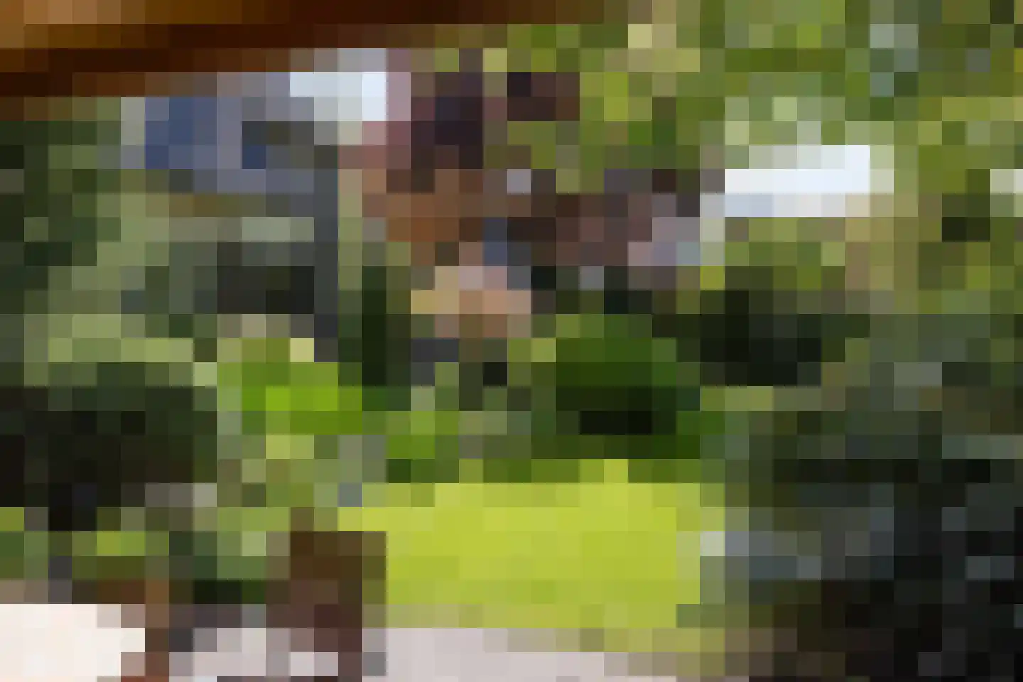 Wheemerstraat 8 Neede thumbnail 37