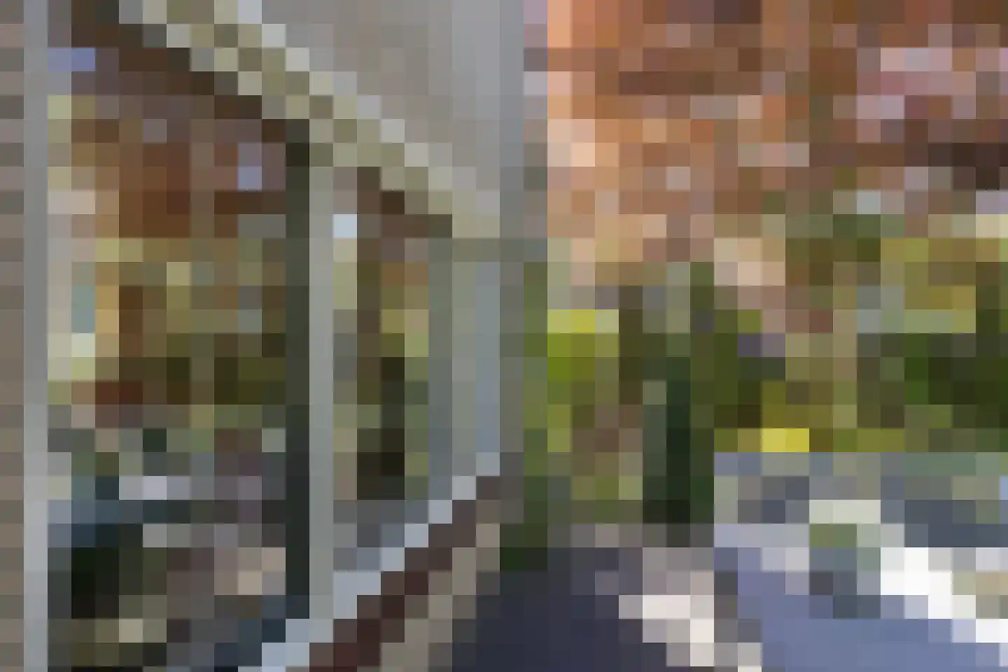 Wheemerstraat 8 Neede thumbnail 39