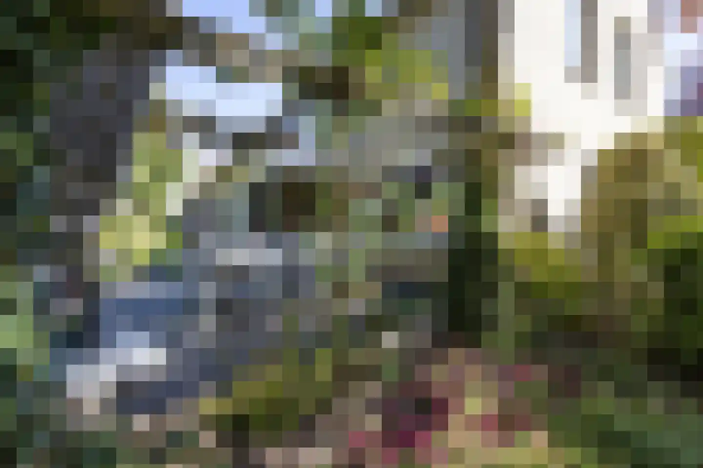 Wheemerstraat 8 Neede thumbnail 40