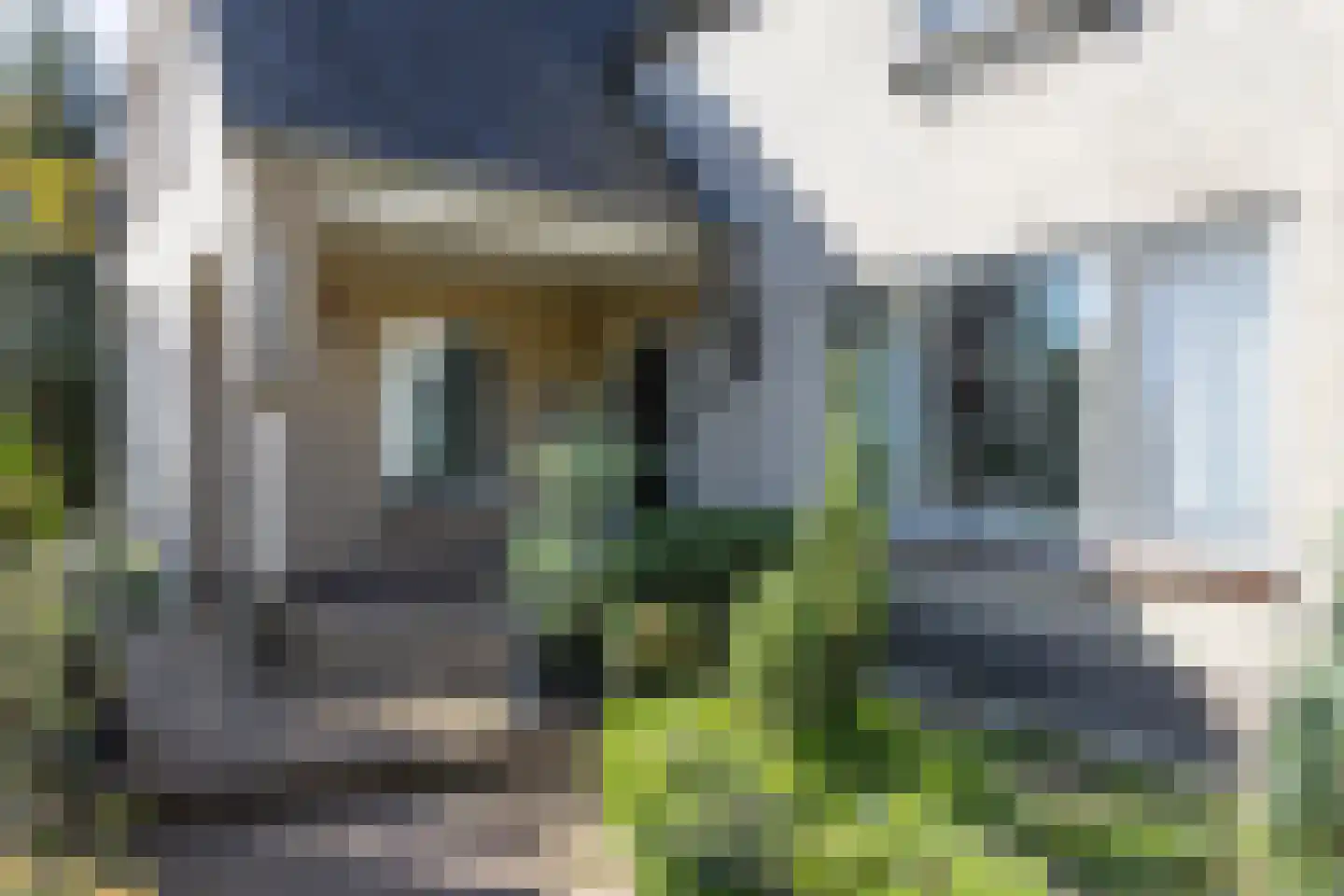 Wheemerstraat 8 Neede thumbnail 43