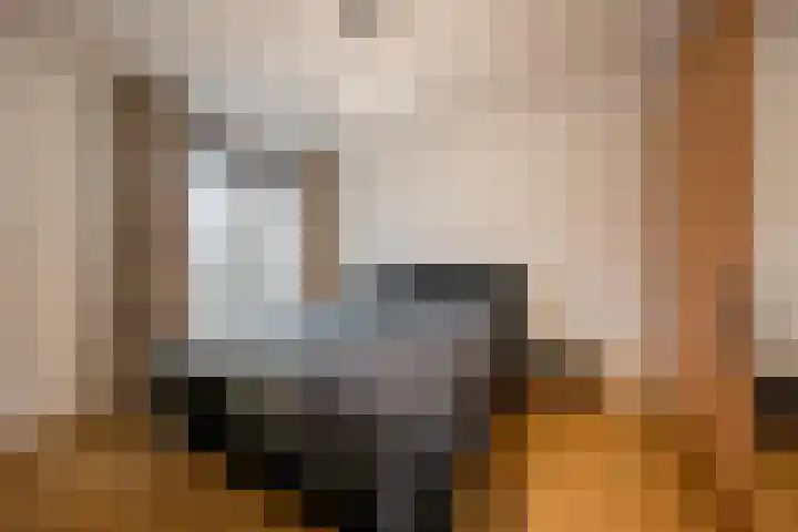 Wheemplein 9 Nijkerk thumbnail 11