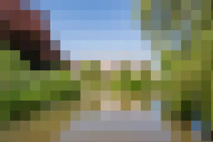 Wheemplein 9 Nijkerk thumbnail 38