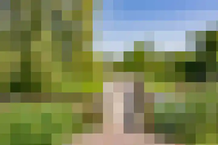 Wheemplein 9 Nijkerk thumbnail 39