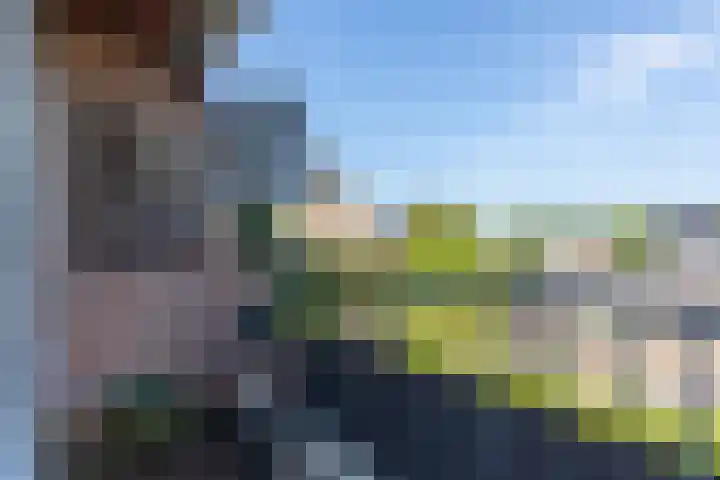 Wheme 24 Groenlo thumbnail 11
