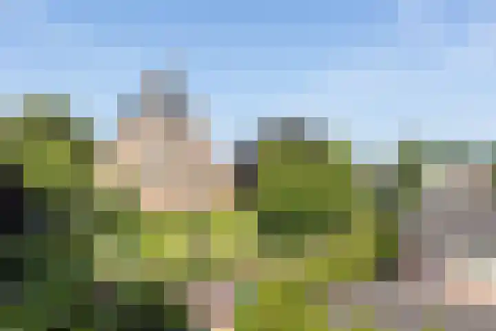 Wheme 24 Groenlo thumbnail 12