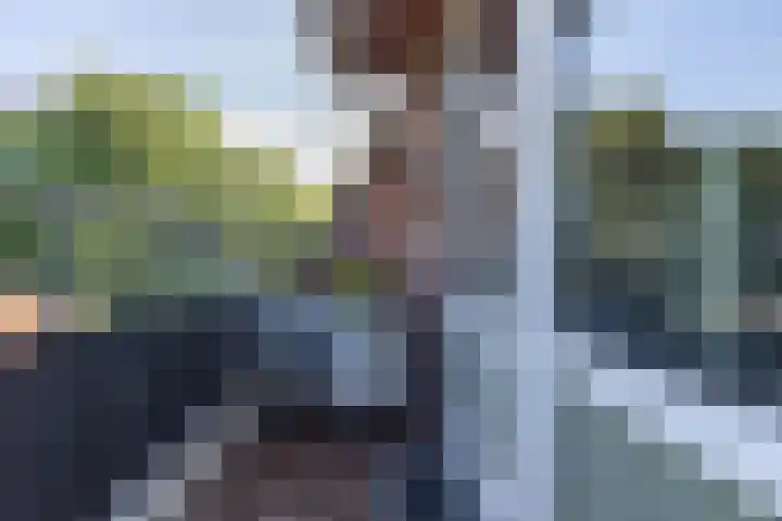 Wheme 24 Groenlo thumbnail 13