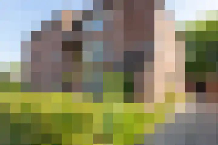 Wheme 24 Groenlo thumbnail 38