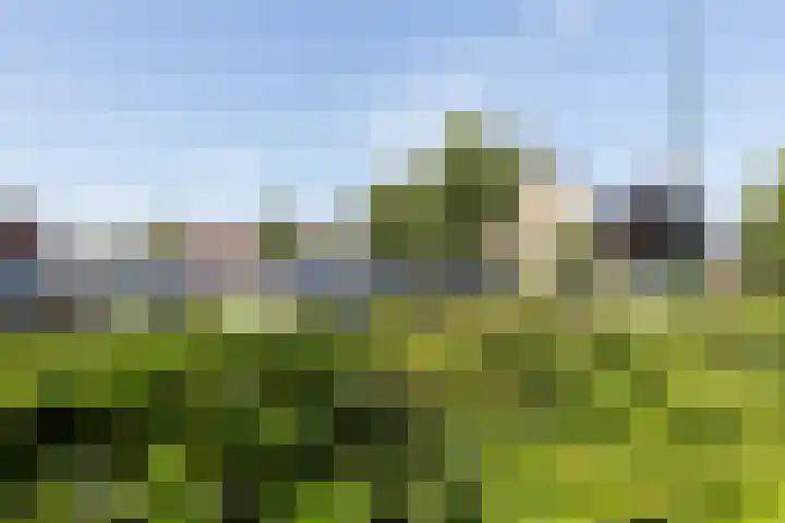 Wheme 24 Groenlo thumbnail 39