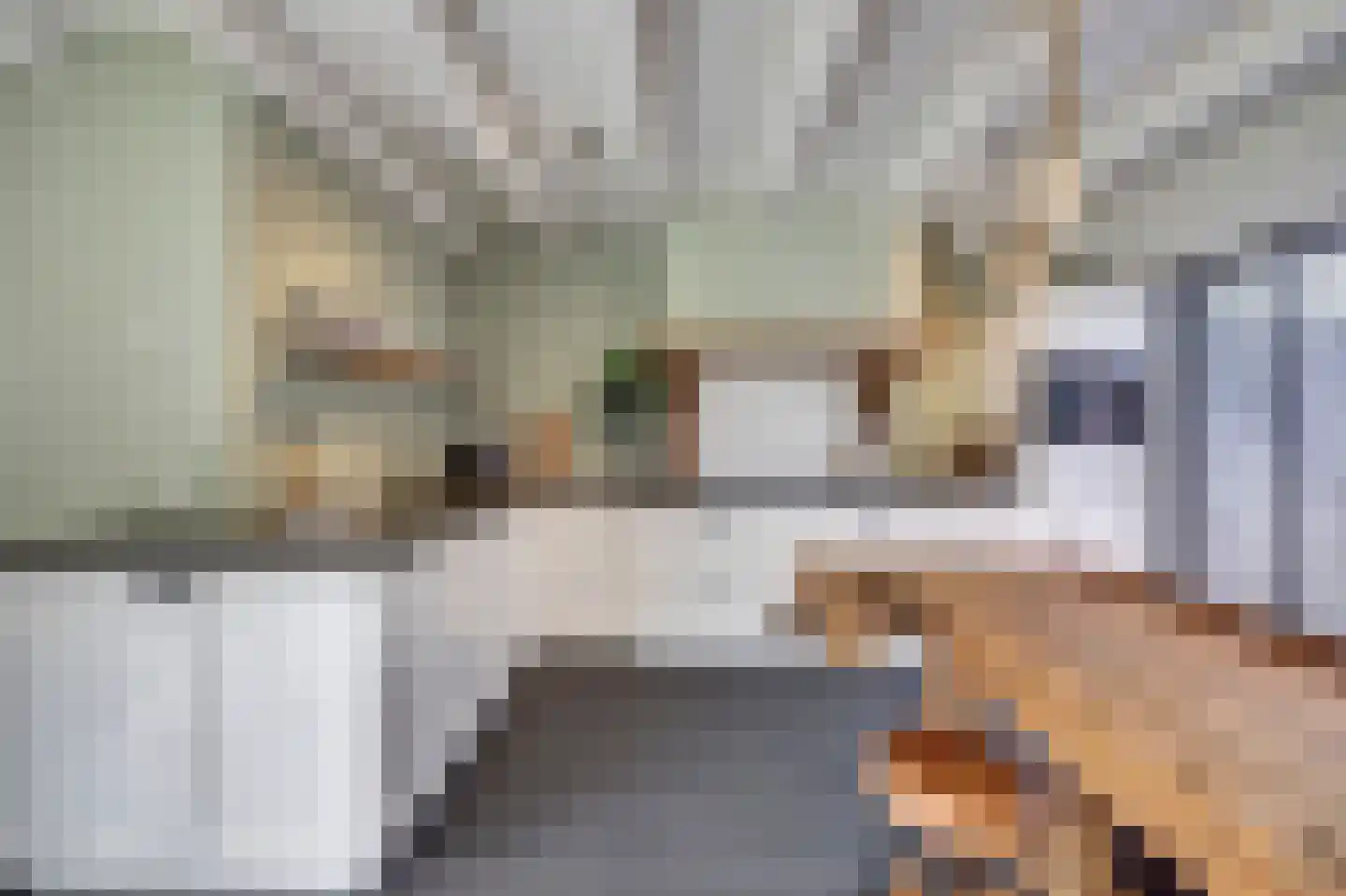 Whemelaan 14 Nunspeet thumbnail 12