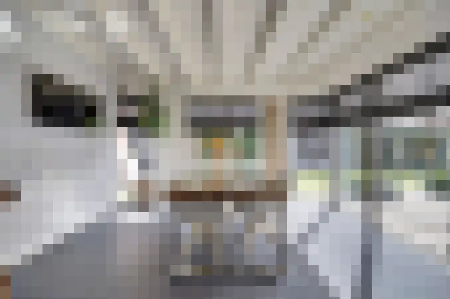 Whemelaan 14 Nunspeet thumbnail 13