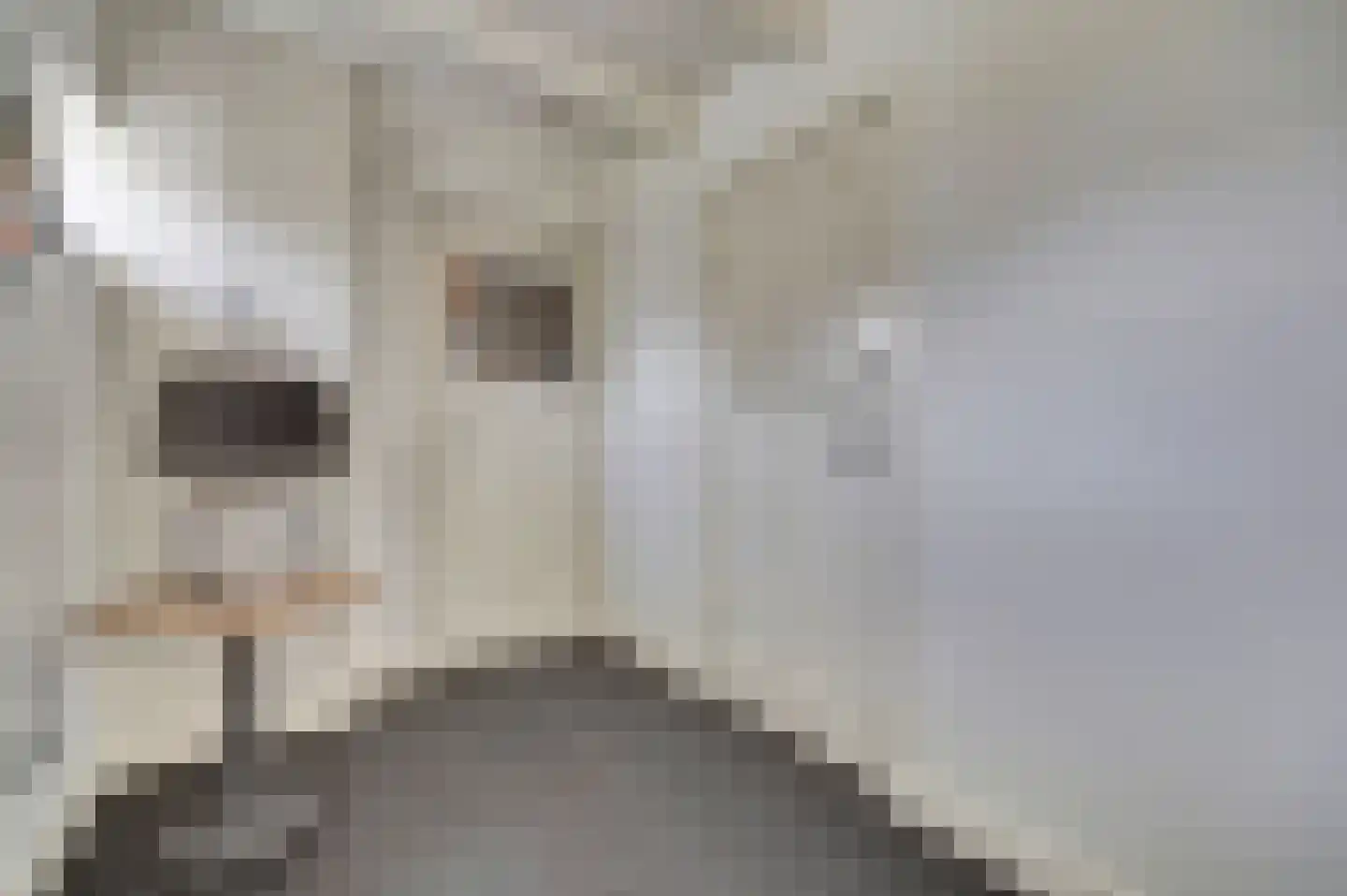 Whemelaan 14 Nunspeet thumbnail 17