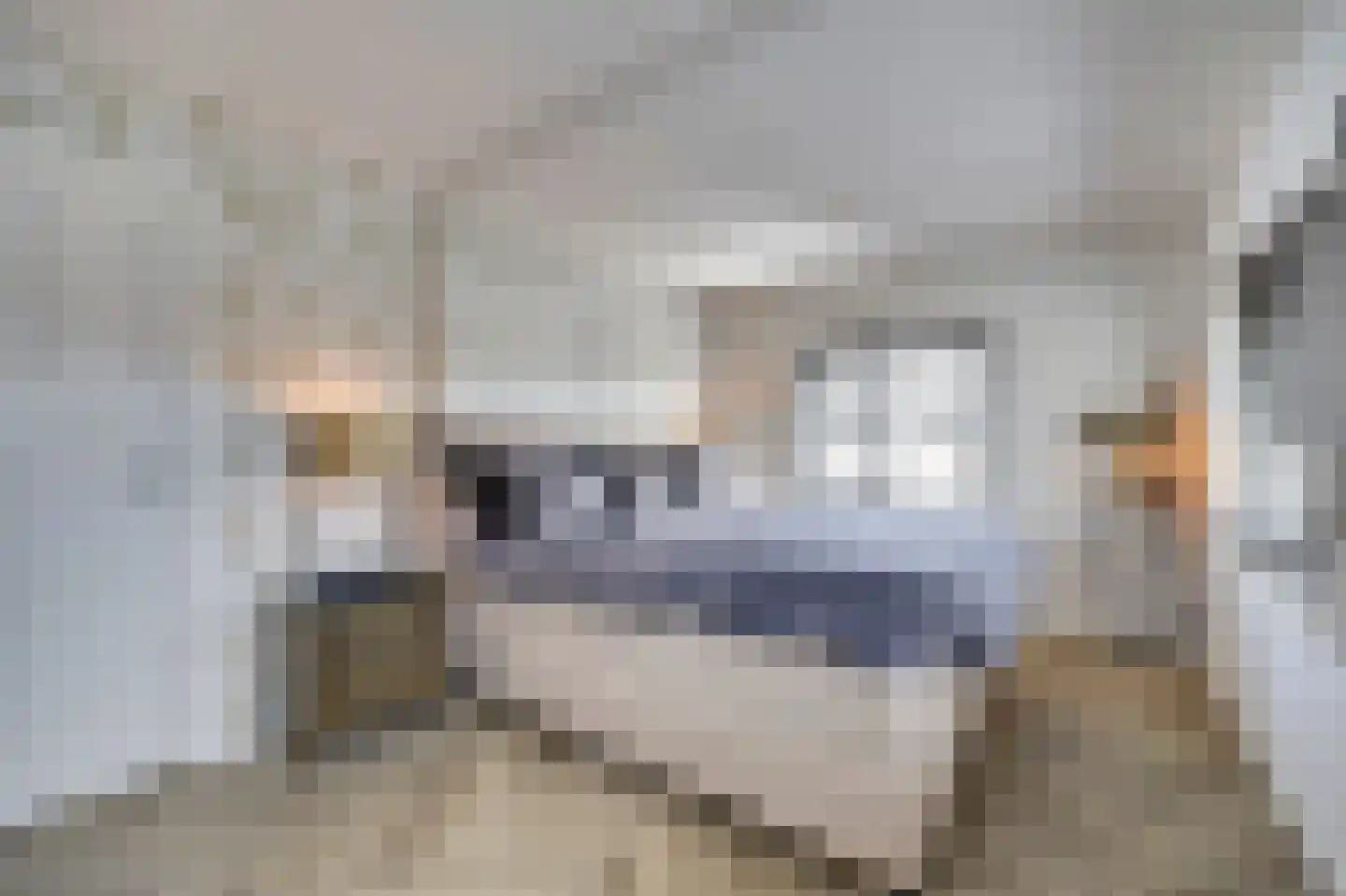 Whemelaan 14 Nunspeet thumbnail 21