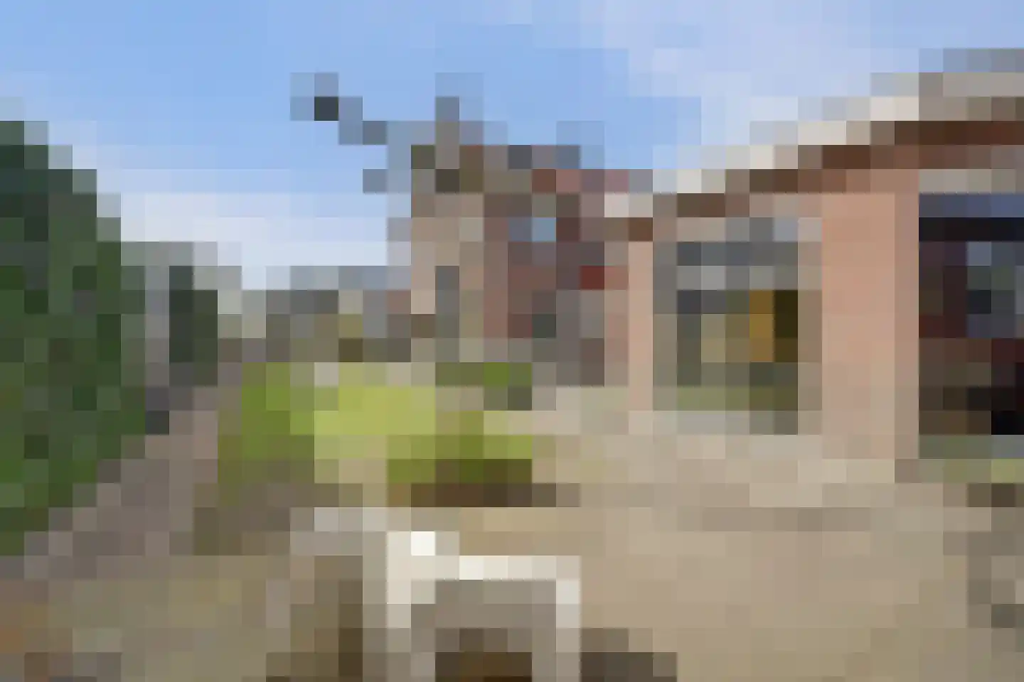 Whemelaan 14 Nunspeet thumbnail 33