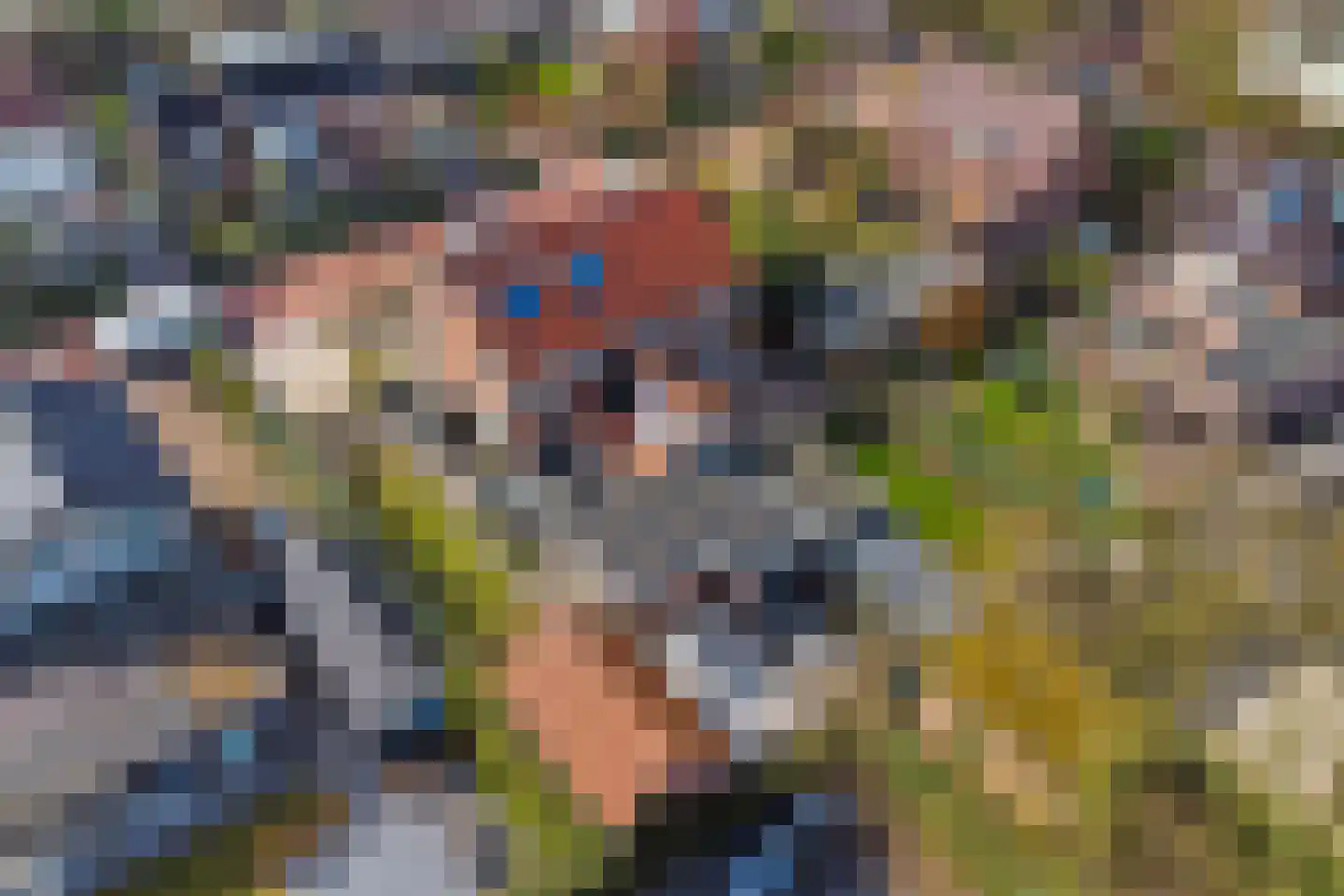 Whemelaan 14 Nunspeet thumbnail 39