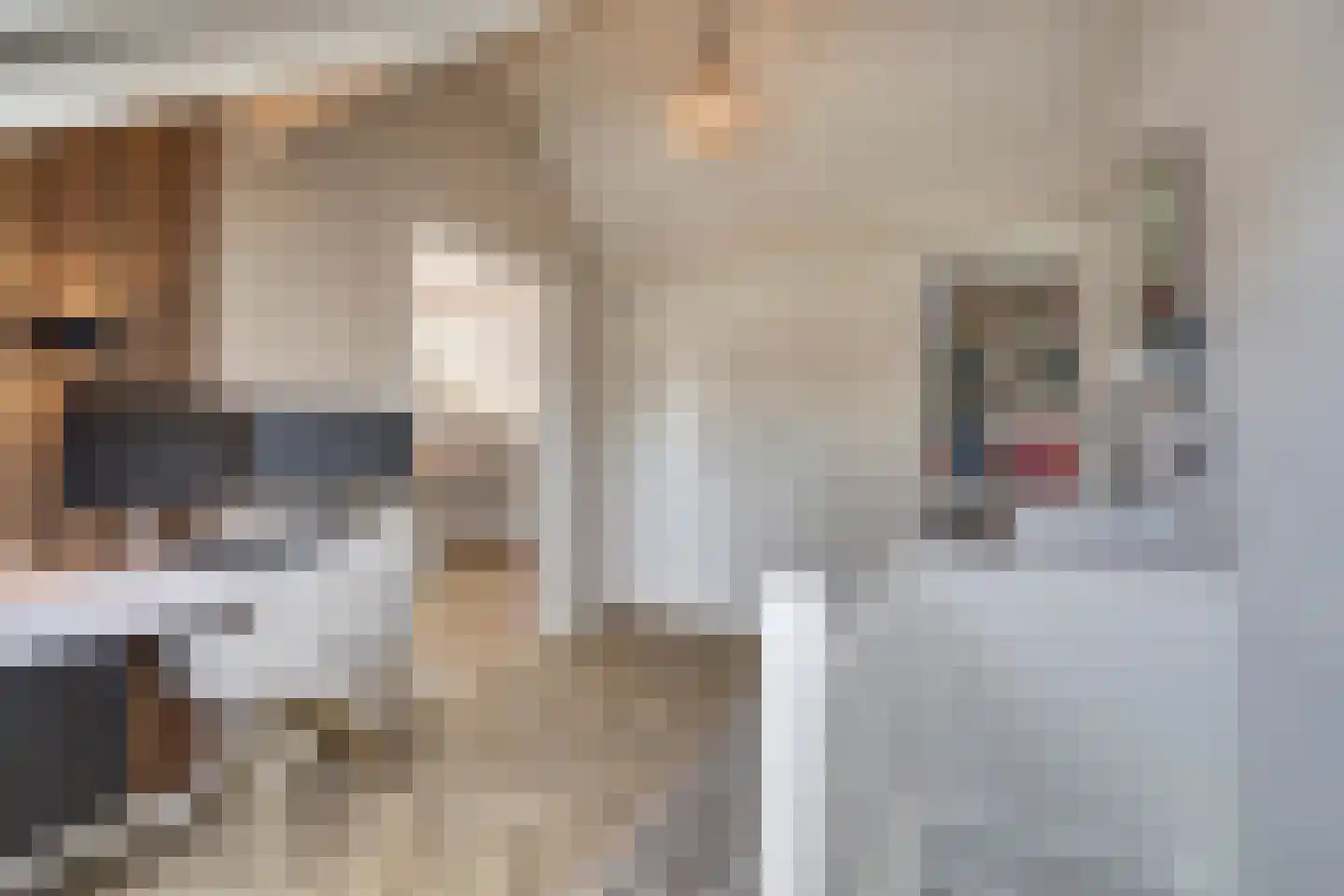 Whemelaan 14 Nunspeet thumbnail 4
