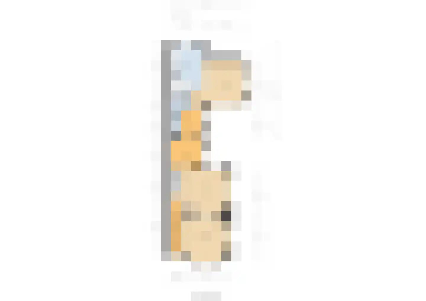 Whemelaan 14 Nunspeet thumbnail 42