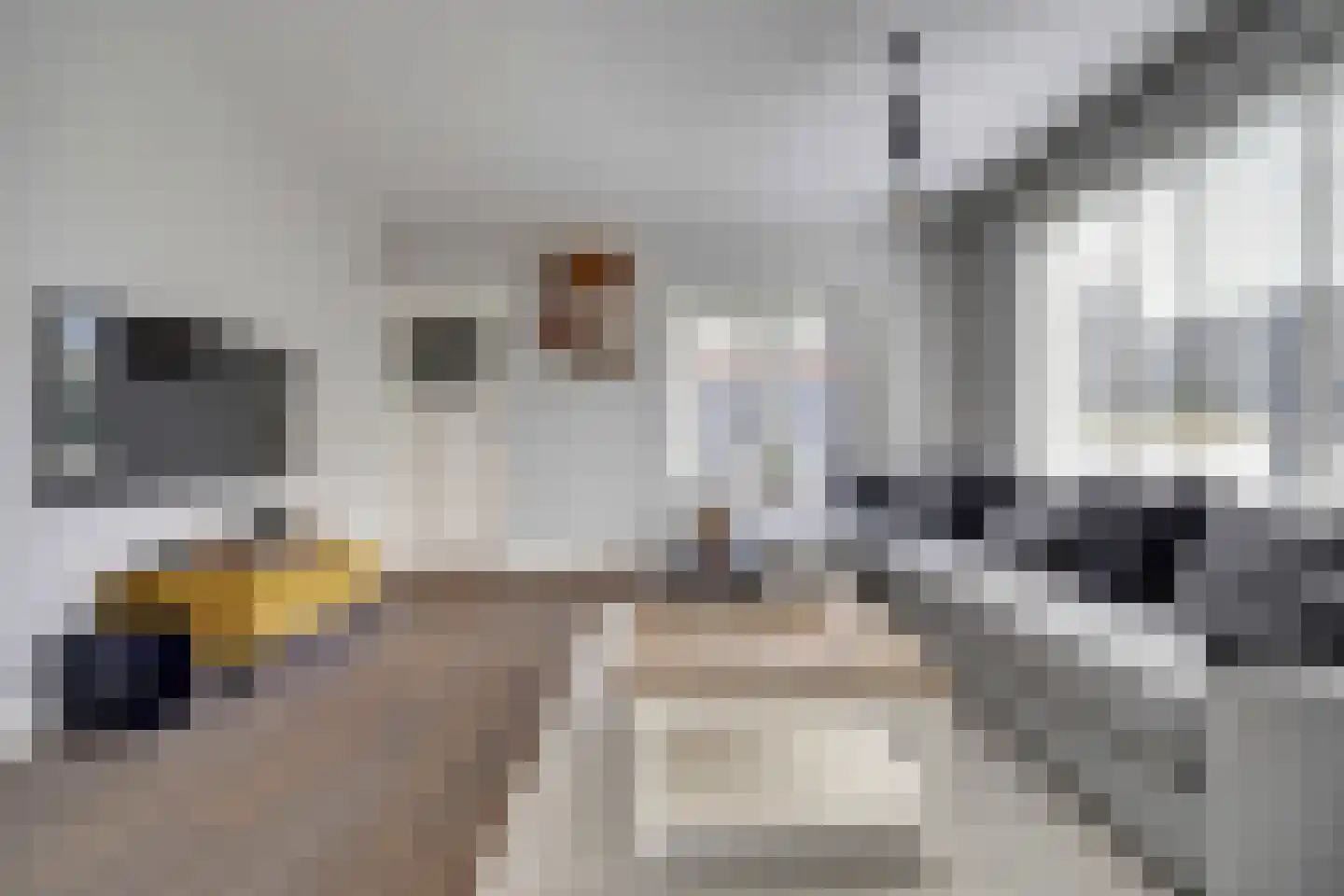 Whemelaan 14 Nunspeet thumbnail 9