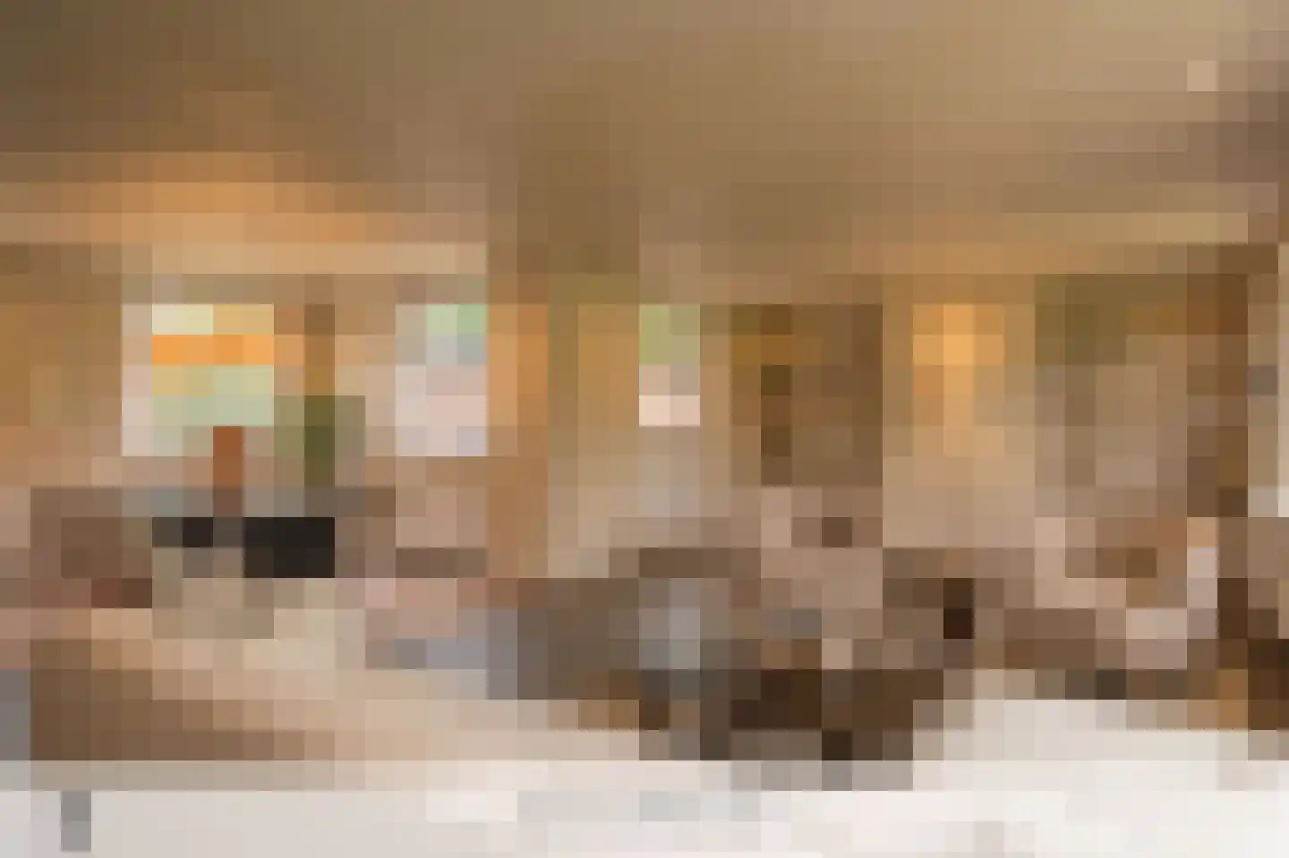 Whemelaan 4 Nunspeet thumbnail 16