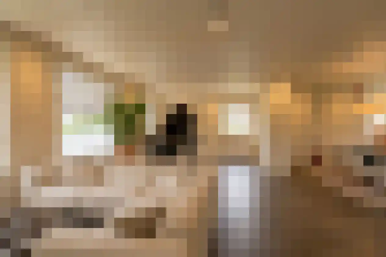 Whemelaan 4 Nunspeet thumbnail 18