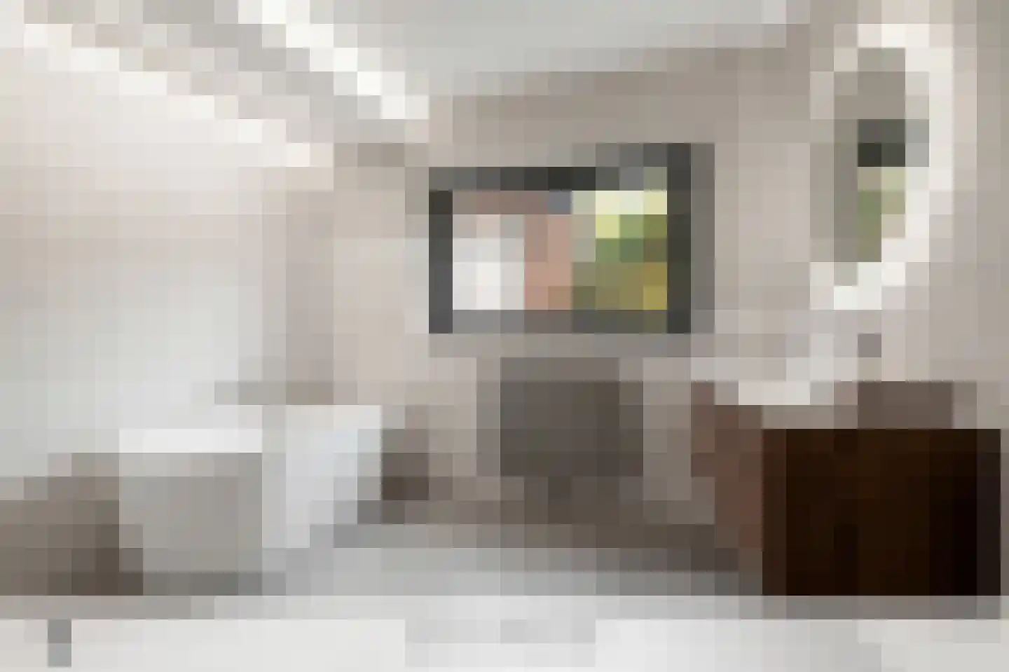 Whemelaan 4 Nunspeet thumbnail 36