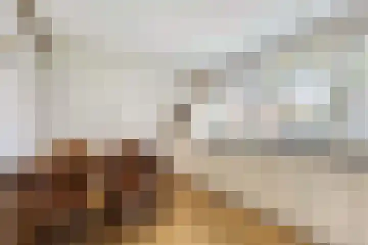 Whemelaan 6 Nunspeet thumbnail 14