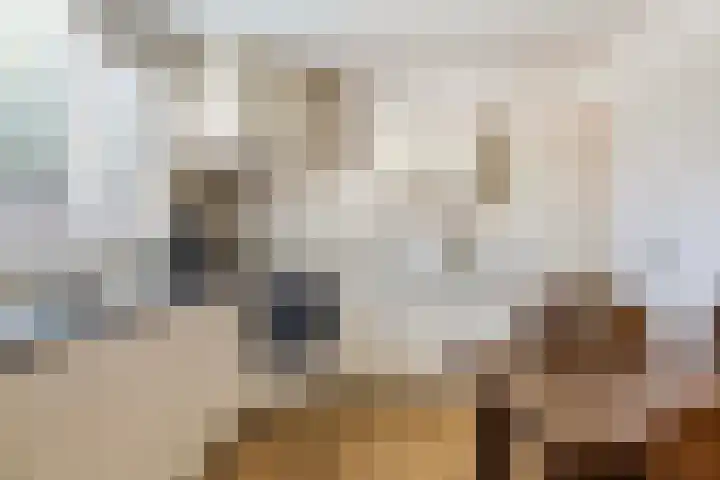Whemelaan 6 Nunspeet thumbnail 15