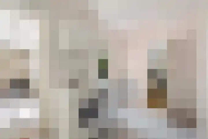 Whemelaan 6 Nunspeet thumbnail 16