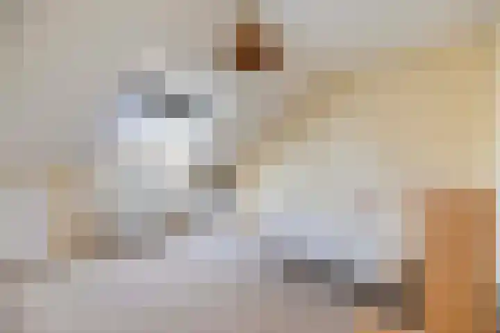 Whemelaan 6 Nunspeet thumbnail 25