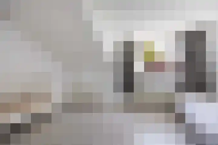 Whemelaan 6 Nunspeet thumbnail 26