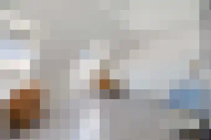 Whemelaan 6 Nunspeet thumbnail 28