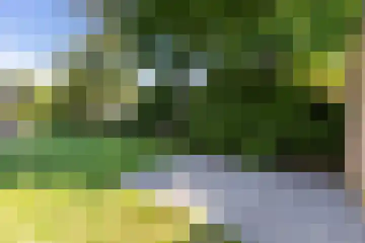 Whemelaan 6 Nunspeet thumbnail 34
