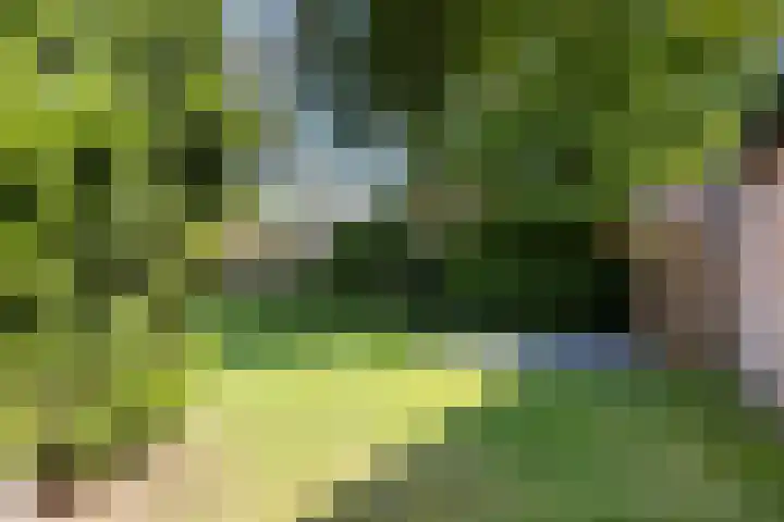 Whemelaan 6 Nunspeet thumbnail 35