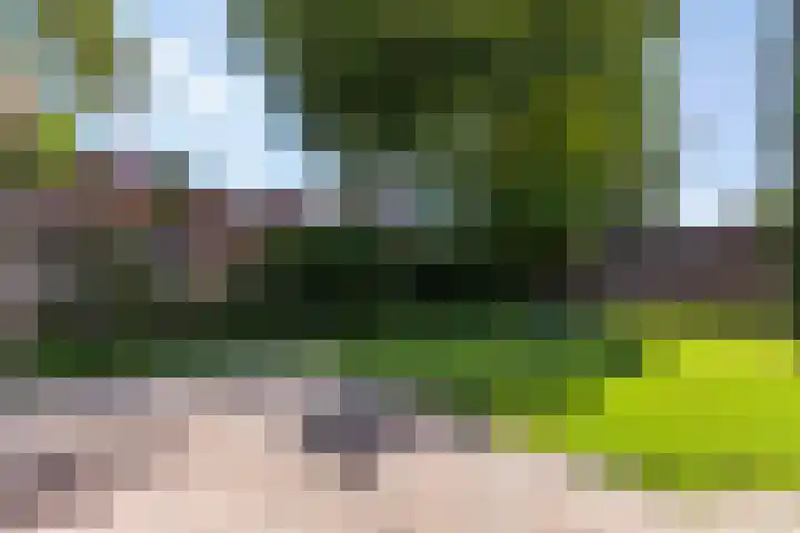Whemelaan 6 Nunspeet thumbnail 37