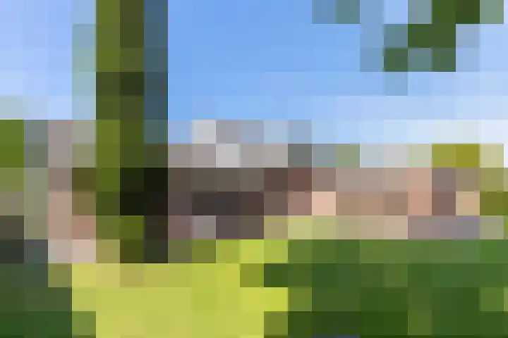 Whemelaan 6 Nunspeet thumbnail 38